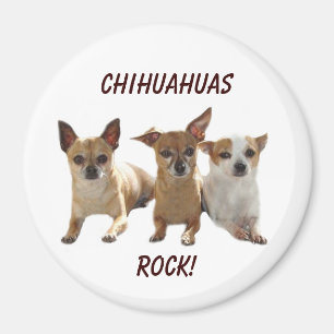 Imán de la roca de las chihuahuas
