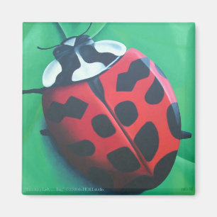 Imán de la señora que almuerza… insecto