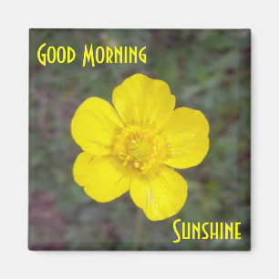 Imán de la sol de la buena mañana