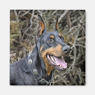 Imán de la sonrisa del Doberman