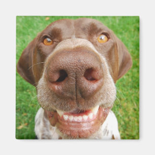 Imán de la sonrisa del GSP