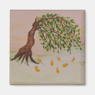 imán de la tarde de oro