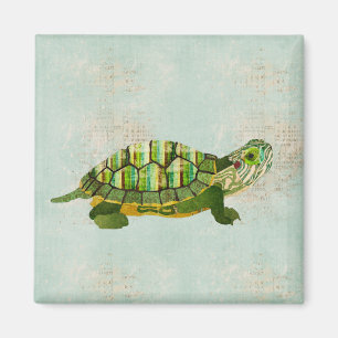 Imán de la tortuga del jade