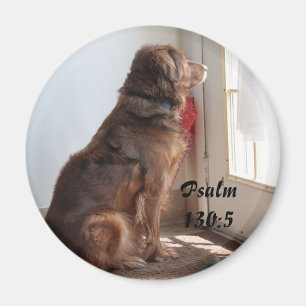 Imán de la ventana del perro del 130:5 del salmo