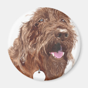 Imán de Labradoodle #1 del chocolate