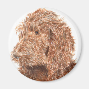 Imán de Labradoodle #2 del chocolate