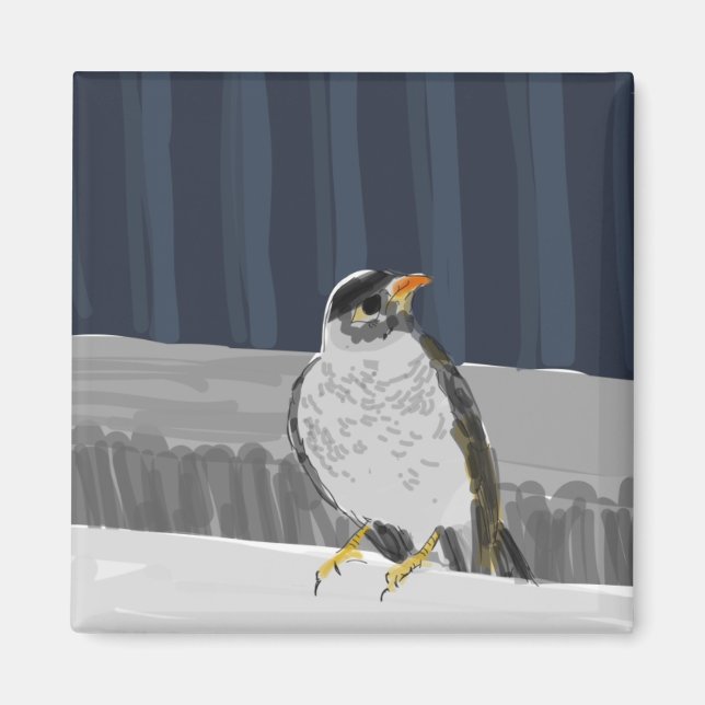 Imán de las aves en un tren (Frente)