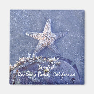 Imán de las estrellas de mar