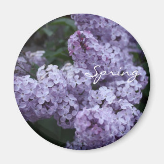 Imán de las flores de Lilac