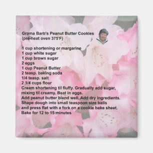 Imán de las galletas de mantequilla de cacahuete