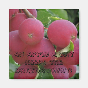 Imán de las manzanas