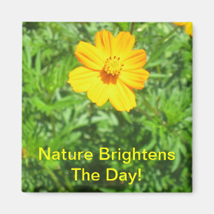 Imán de las naturalezas