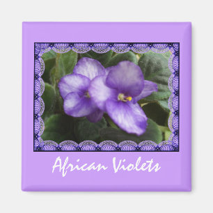 Imán de las violetas africanas