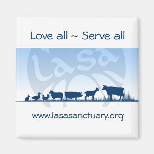 Imán de Lasa