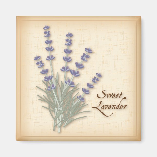 Imán de lavanda dulce (Frente)