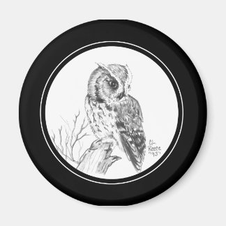 Imán de lechuza en lápiz