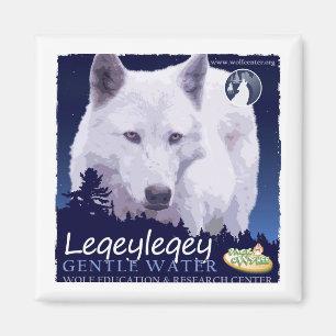 Imán de Leqeyleqey (1 de 6)