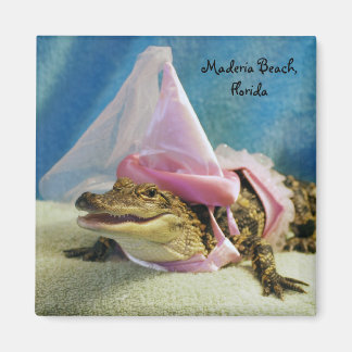 imán de ligador de princesa