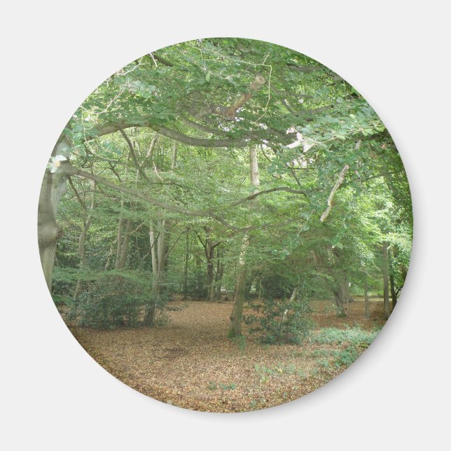 Imán de limpieza de bosques (Frente)