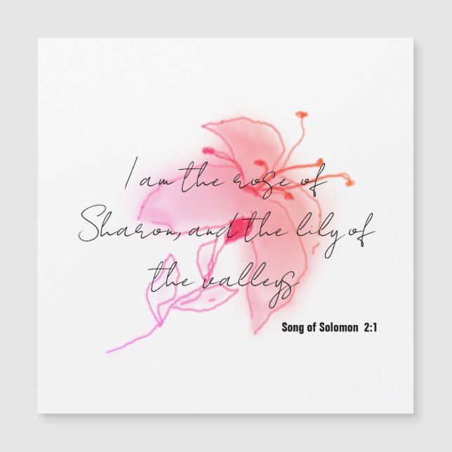 imán de lirio de color rosa (Anverso)