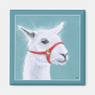 Imán de Llama Blanca