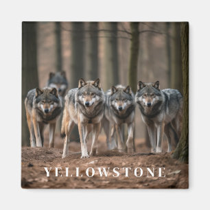 Imán de lobo de Yellowstone