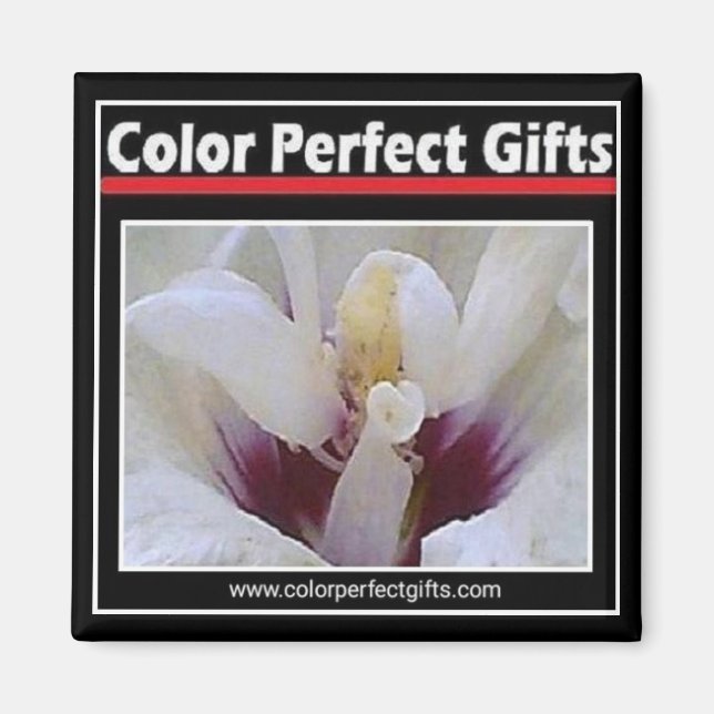 Imán de logotipo (Frente)