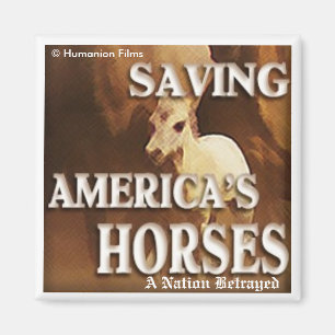 Imán de los caballos de América del ahorro