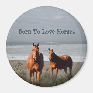 Imán de los caballos de la playa