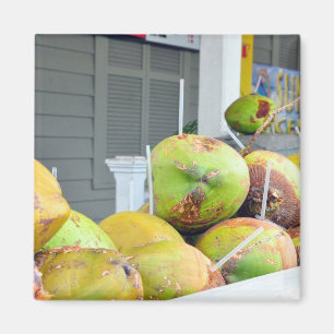 Imán de los cocos de Key West FL del agua del coc