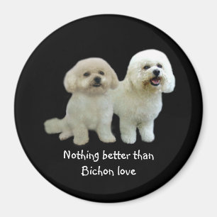Imán de los compinches de Bichon