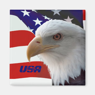 Imán de los E.E.U.U. Eagle
