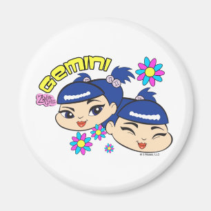 Imán de los géminis