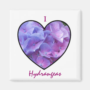 Imán de los Hydrangeas
