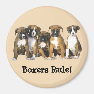 Imán de los perritos del boxeador