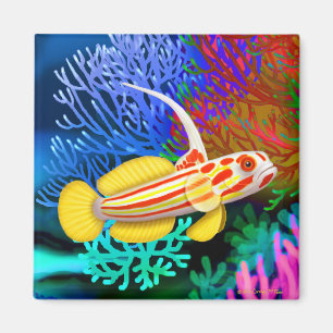 Imán de los pescados del gobio del camarón de