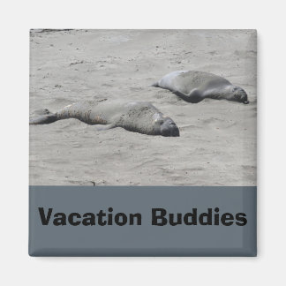 Imán de los presupuestos de vacaciones