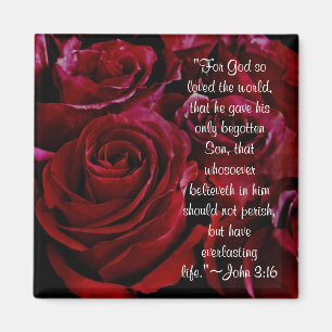 Imán de los rosas rojos del 3:16 de Juan