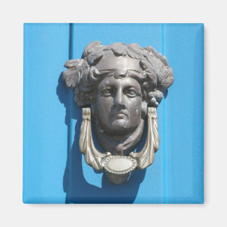 Imán de los tiburones de la puerta