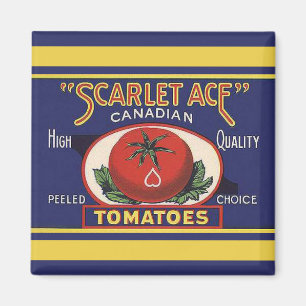 Imán de los tomates del as del escarlata