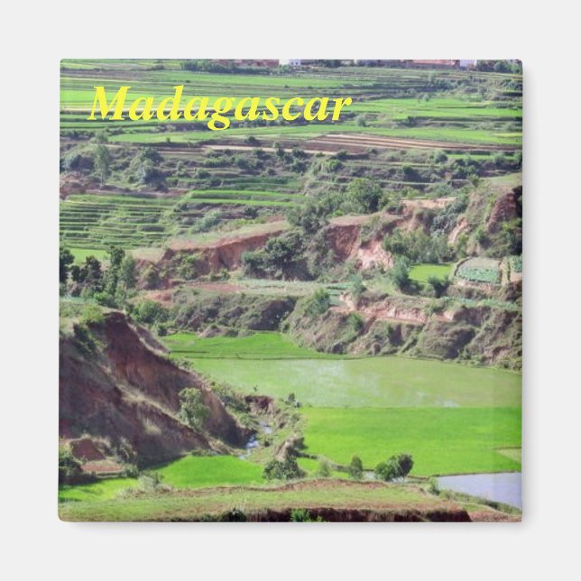 imán de Madagascar (Frente)