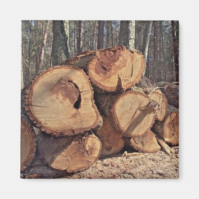 Imán de madera (Frente)