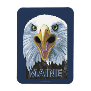 Imán De MaineEagle cierre para arriba