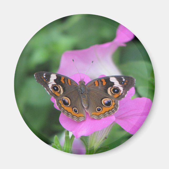 imán de mariposa (Frente)