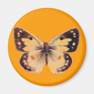 imán de mariposa
