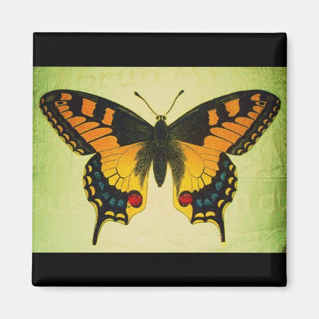 imán de mariposa (Frente)