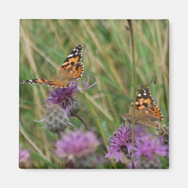 imán de mariposa (Frente)