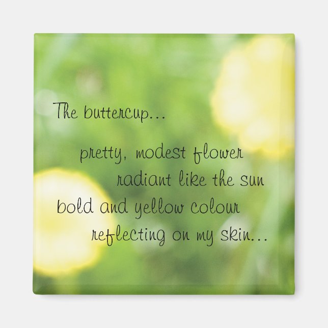 imán de mariposa (Frente)