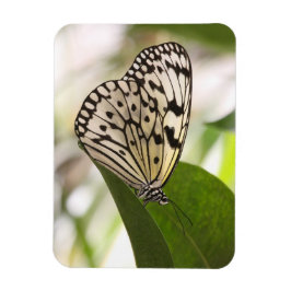 Imán de mariposa de cometa de papel