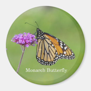 Imán de mariposa monarca